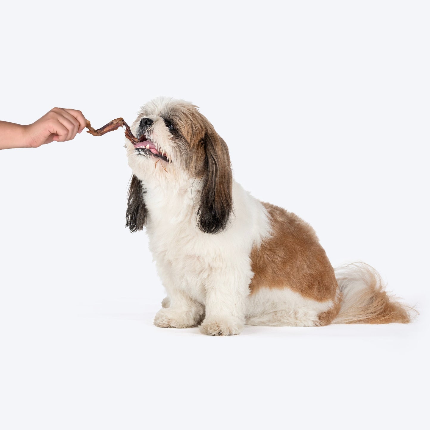 HUFT Natural Chews - Dehydrated Chicken Wings For Dog - 70g - Heads Up For Tails