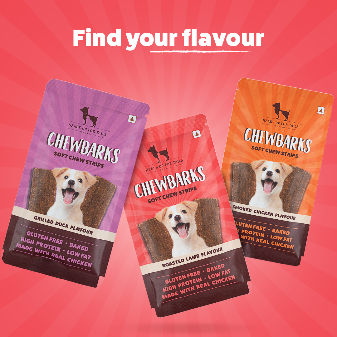 HUFT Chewbarks Smoked Chicken Soft Chew Strips Treat For Dogs - 30g