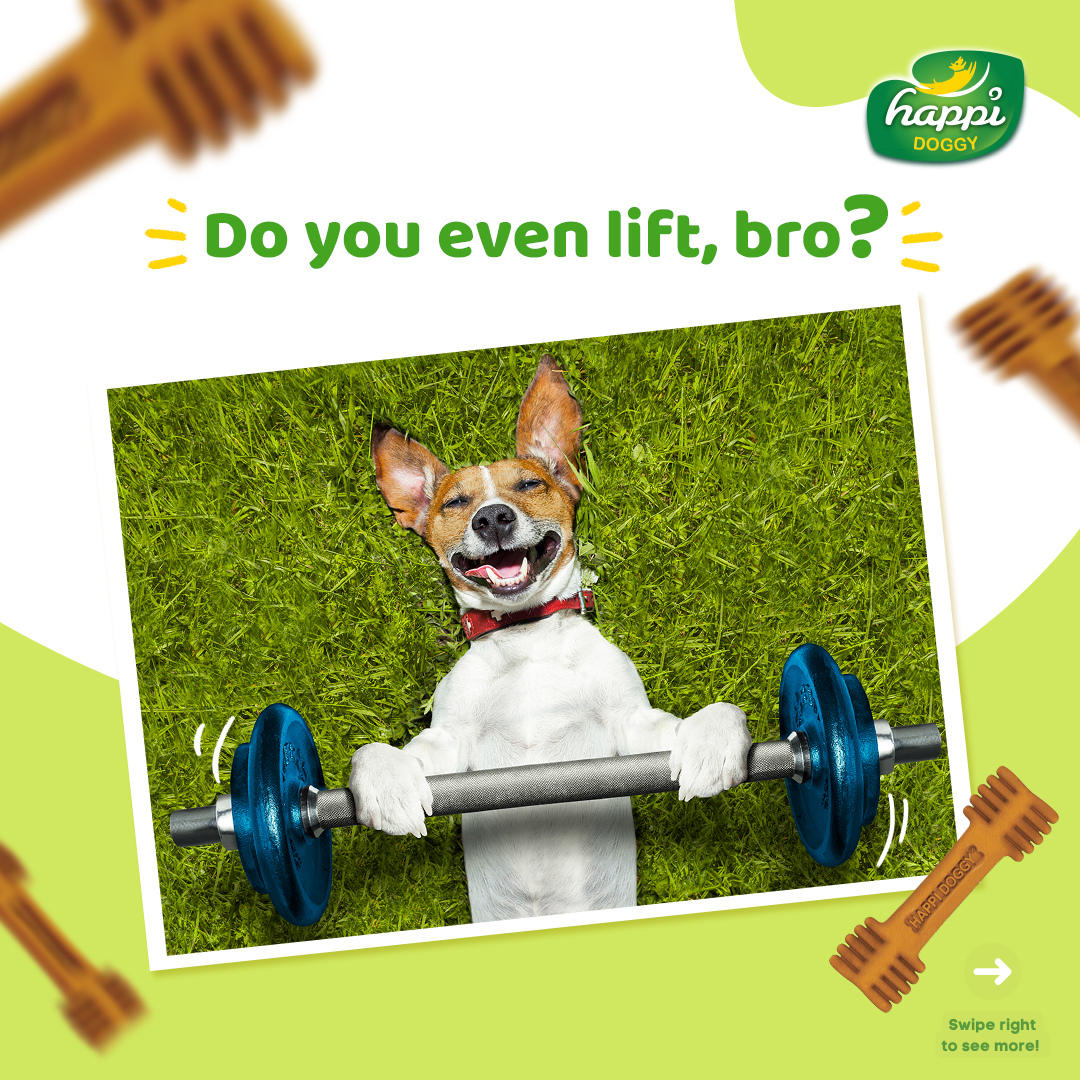 Happi Doggy Vegetarian Dental Chew - Zest - Orange - Petite - 2.5 inch - 150 g - 18 Pieces-6