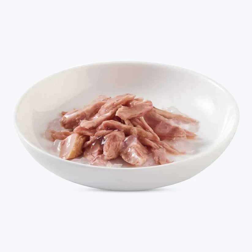 Schesir Chicken Jelly Fillets Wet Food For Kitten - 85 g - Heads Up For Tails