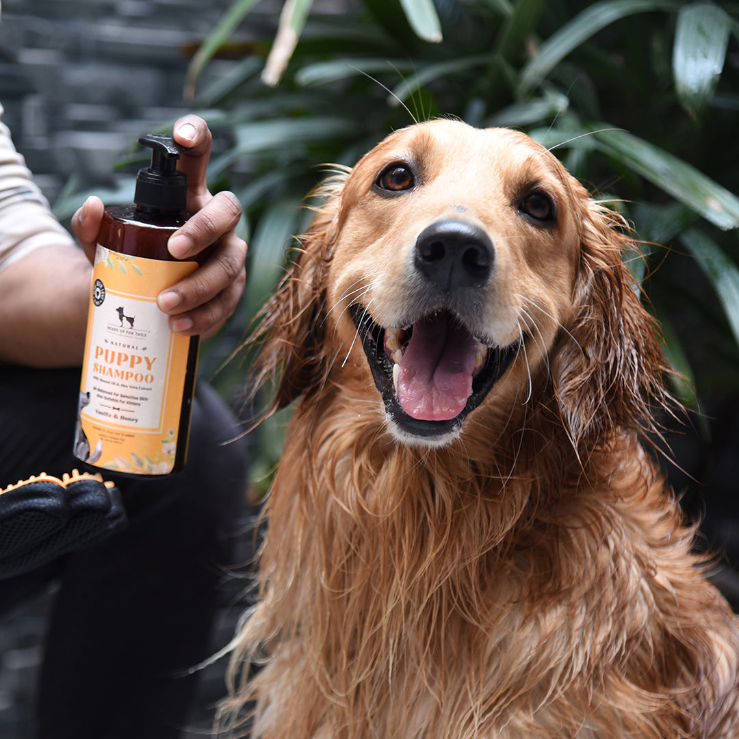 HUFT Natural Shampoo for Puppy and Kitten - Heads Up For Tails