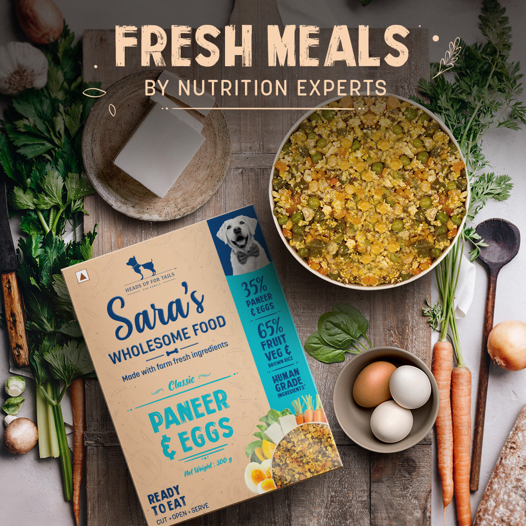 HUFT Sara's Wholesome Food - Classic Paneer And Eggs Dog Food (300gm Pack) - Heads Up For Tails