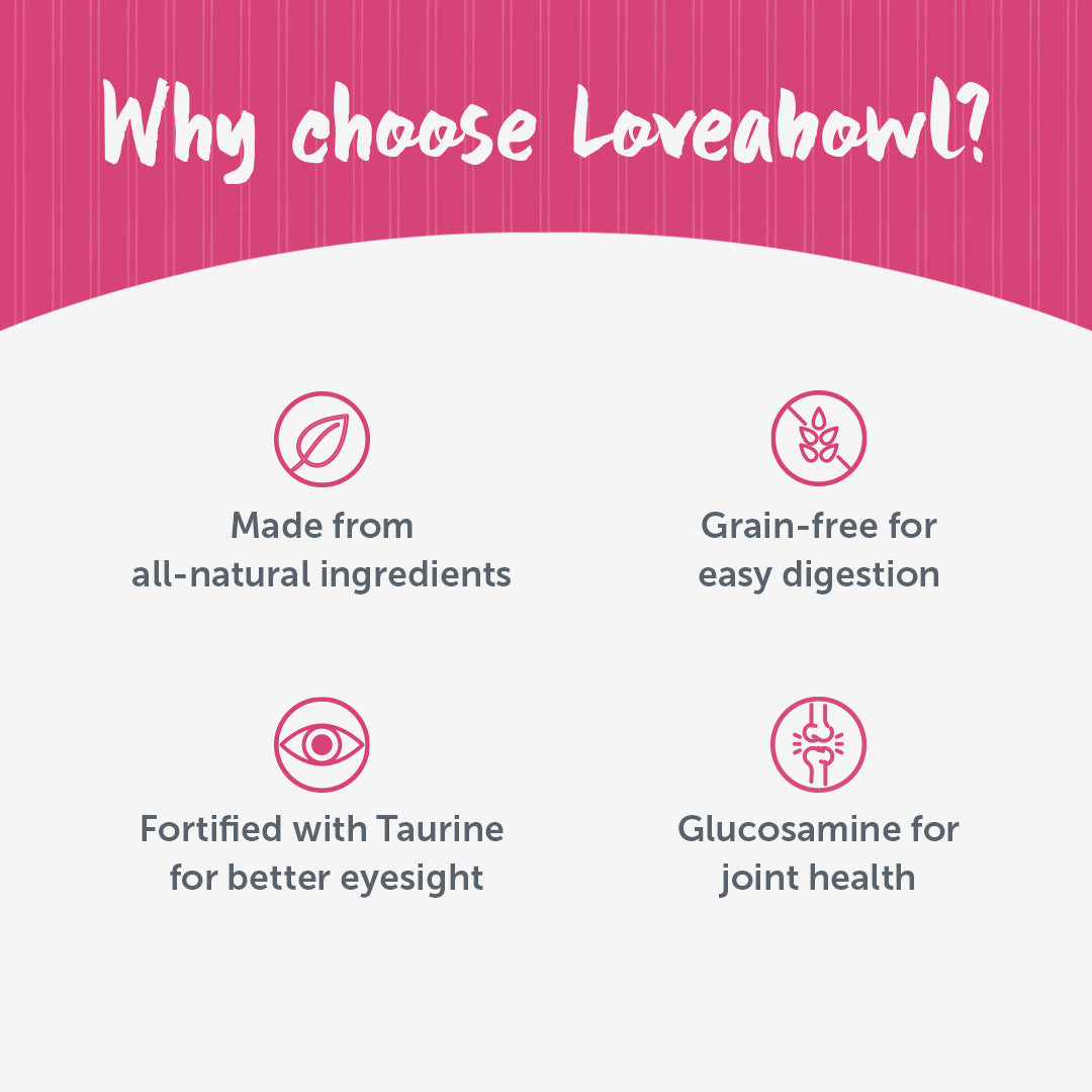 Loveabowl Grain Free Chicken With Atlantic Lobster Gut-Friendly Dog Dry Food - Heads Up For Tails