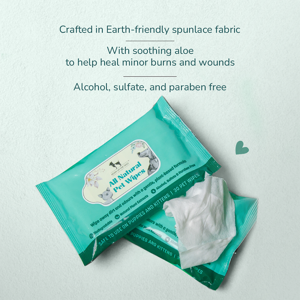 HUFT Biodegradable Pet Wipes-2