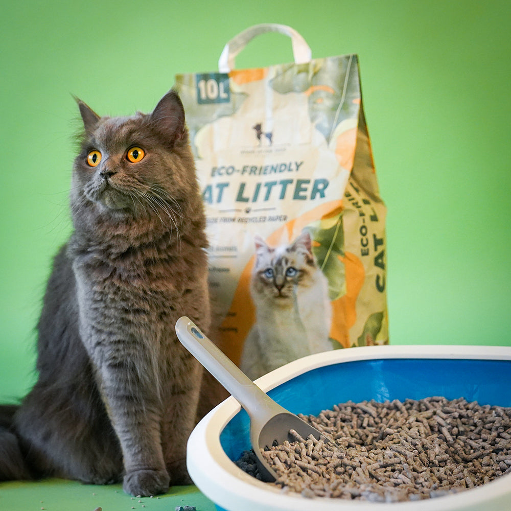 HUFT Eco-Friendly Cat Litter - 10 kg - Heads Up For Tails
