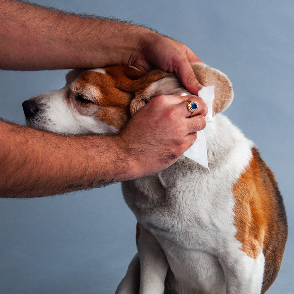HUFT Biodegradable Pet Wipes - Heads Up For Tails