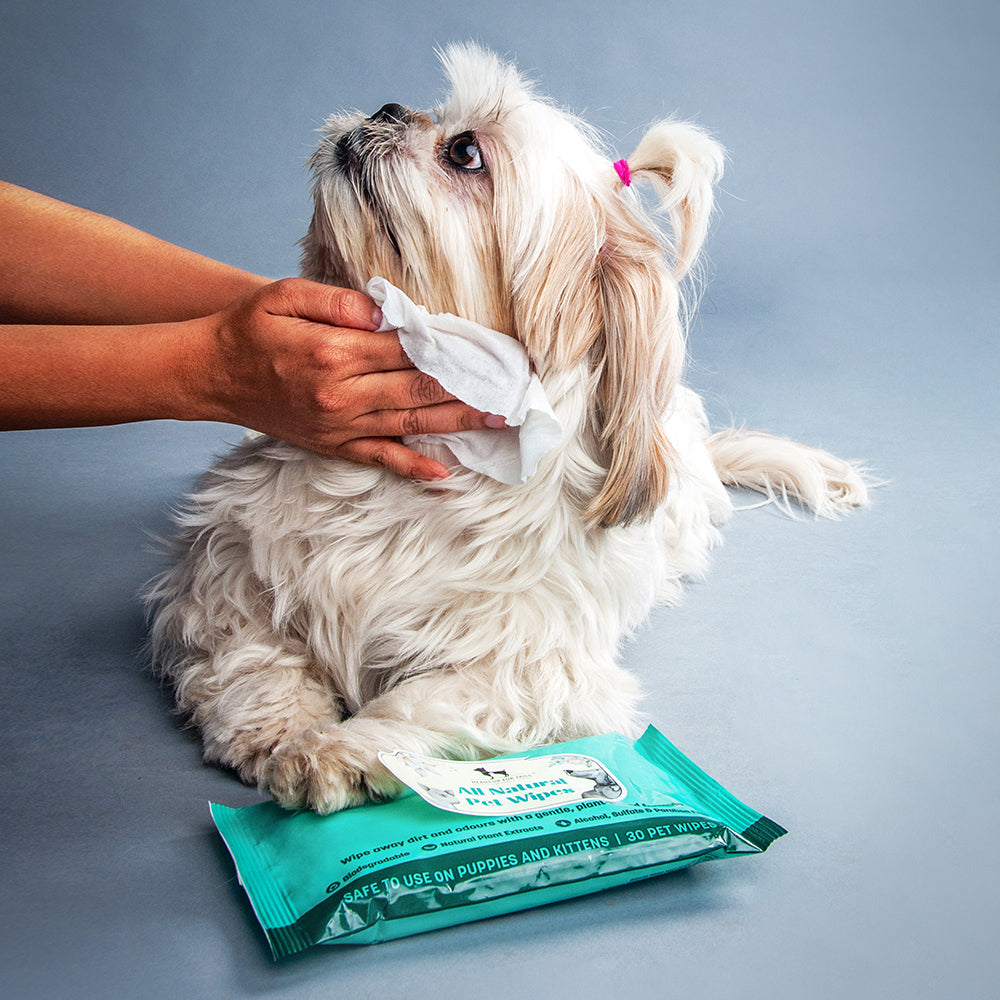 HUFT Biodegradable Pet Wipes - Heads Up For Tails