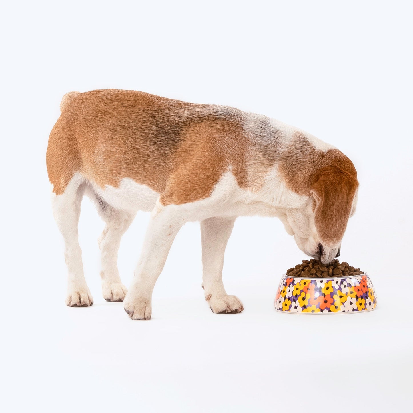 HUFT MisFit Meadow Melamine Bowl For Dogs and Cats - Heads Up For Tails