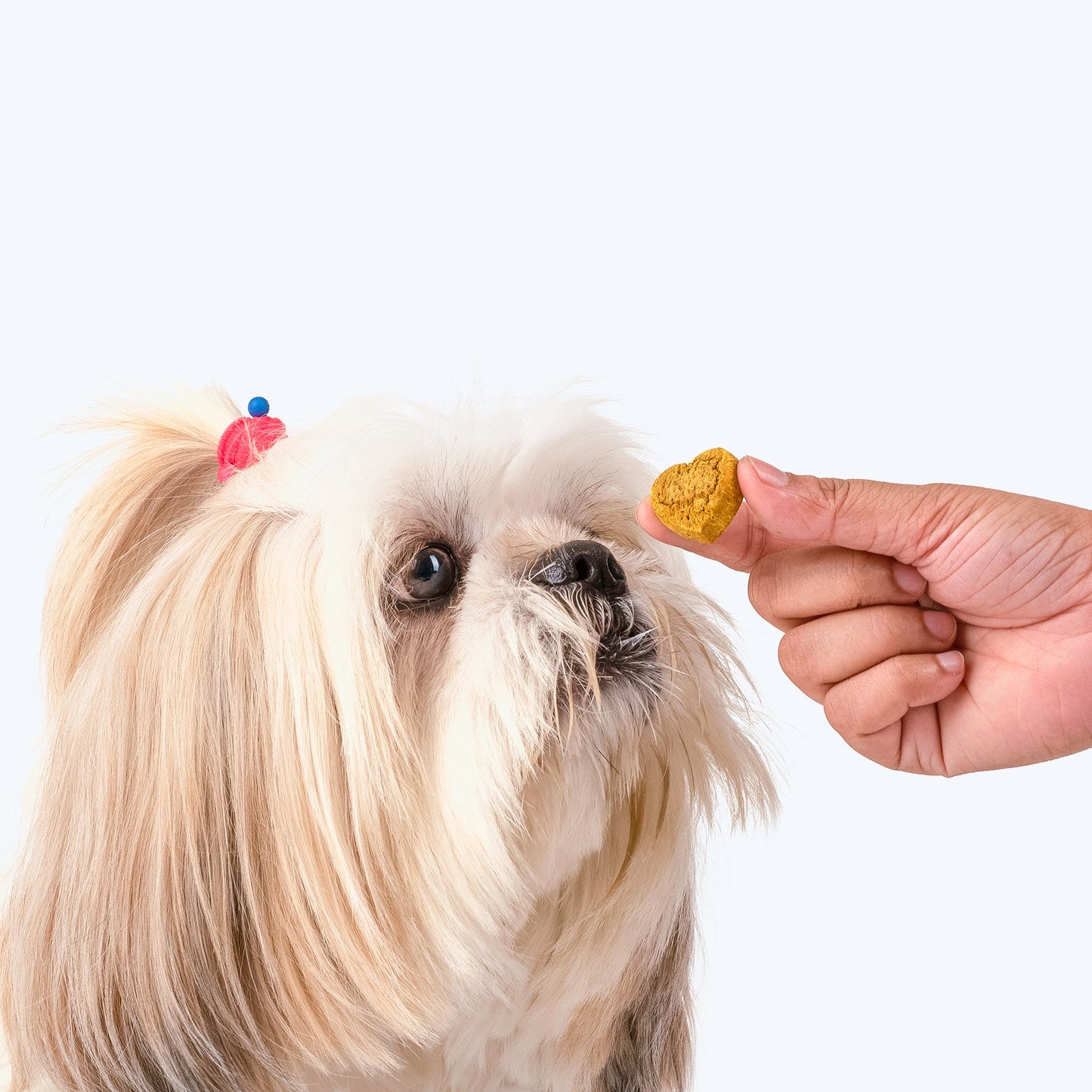 HUFT Nutri Treats For Dogs - Hip & Joint Support - 150 g - Heads Up For Tails