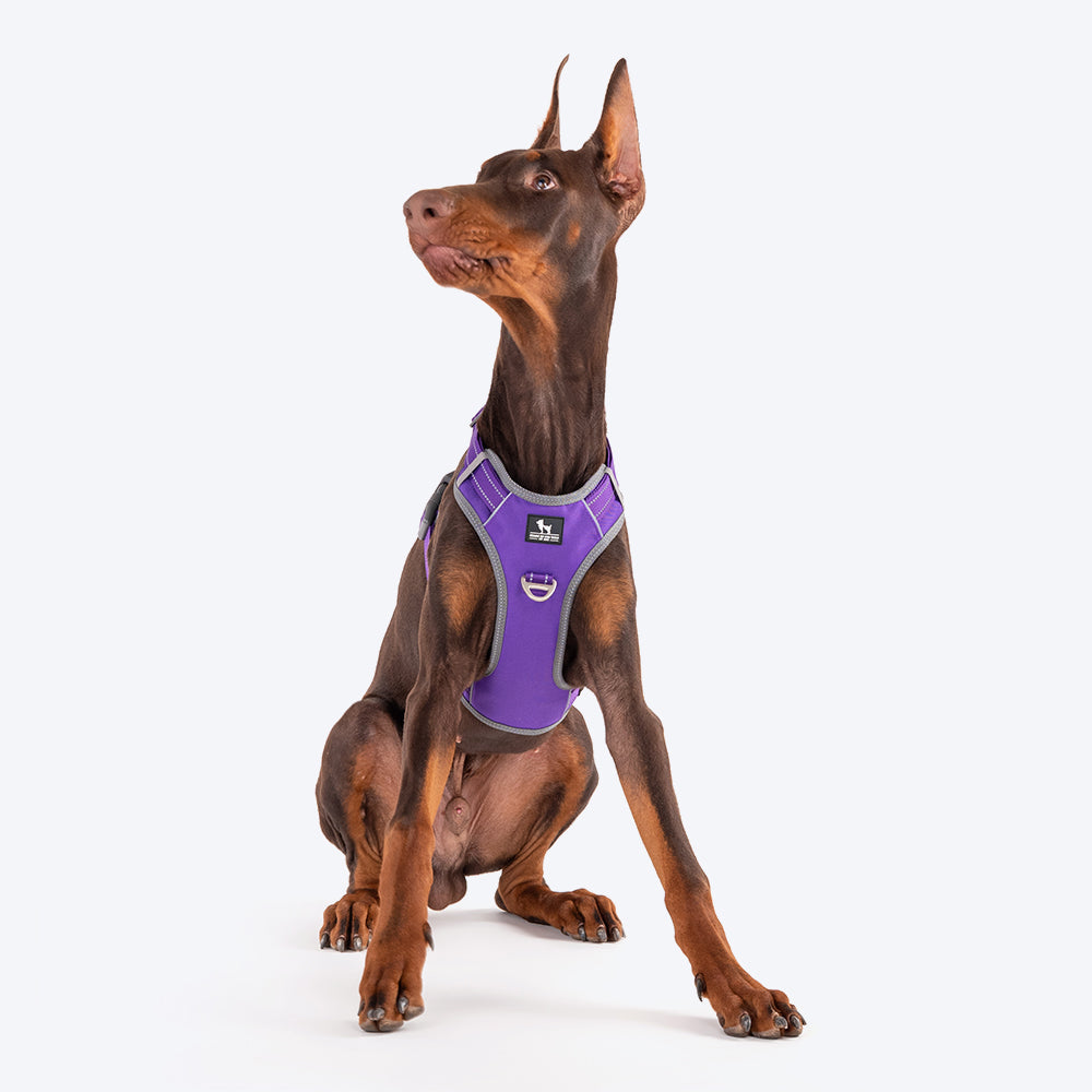 HUFT Active Pet Dog Harness - Purple - Heads Up For Tails