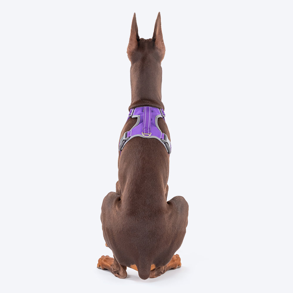 HUFT Active Pet Dog Harness - Purple - Heads Up For Tails