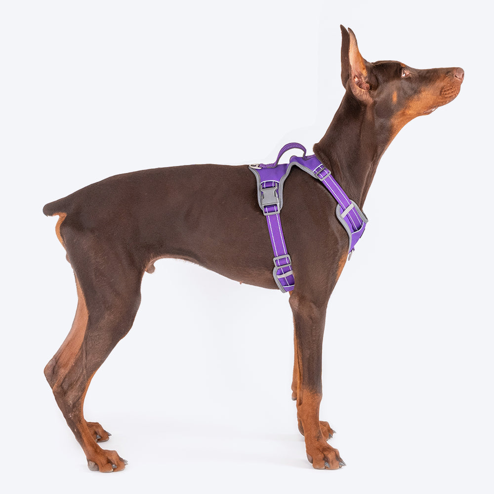 HUFT Active Pet Dog Harness - Purple - Heads Up For Tails