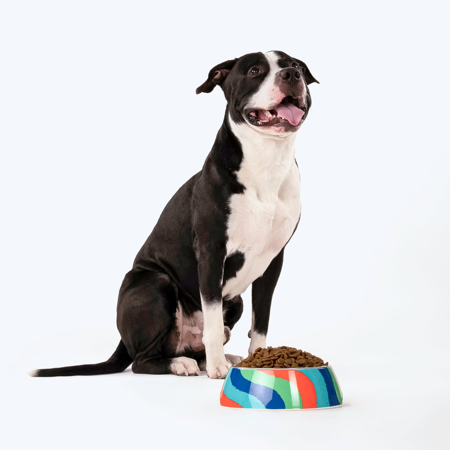 HUFT Wild Waves Melamine Bowl For Dogs And Cats - Heads Up For Tails
