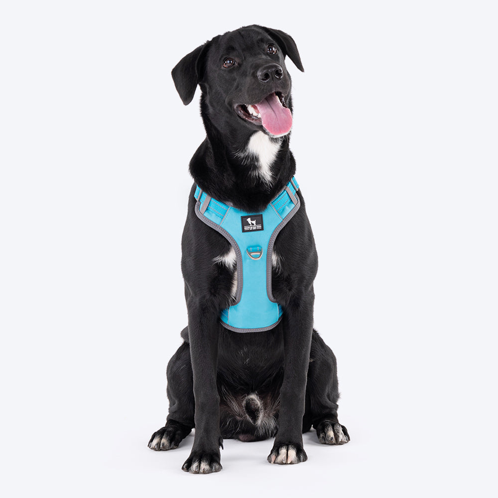 HUFT Active Pet Dog Harness - Light Blue - Heads Up For Tails