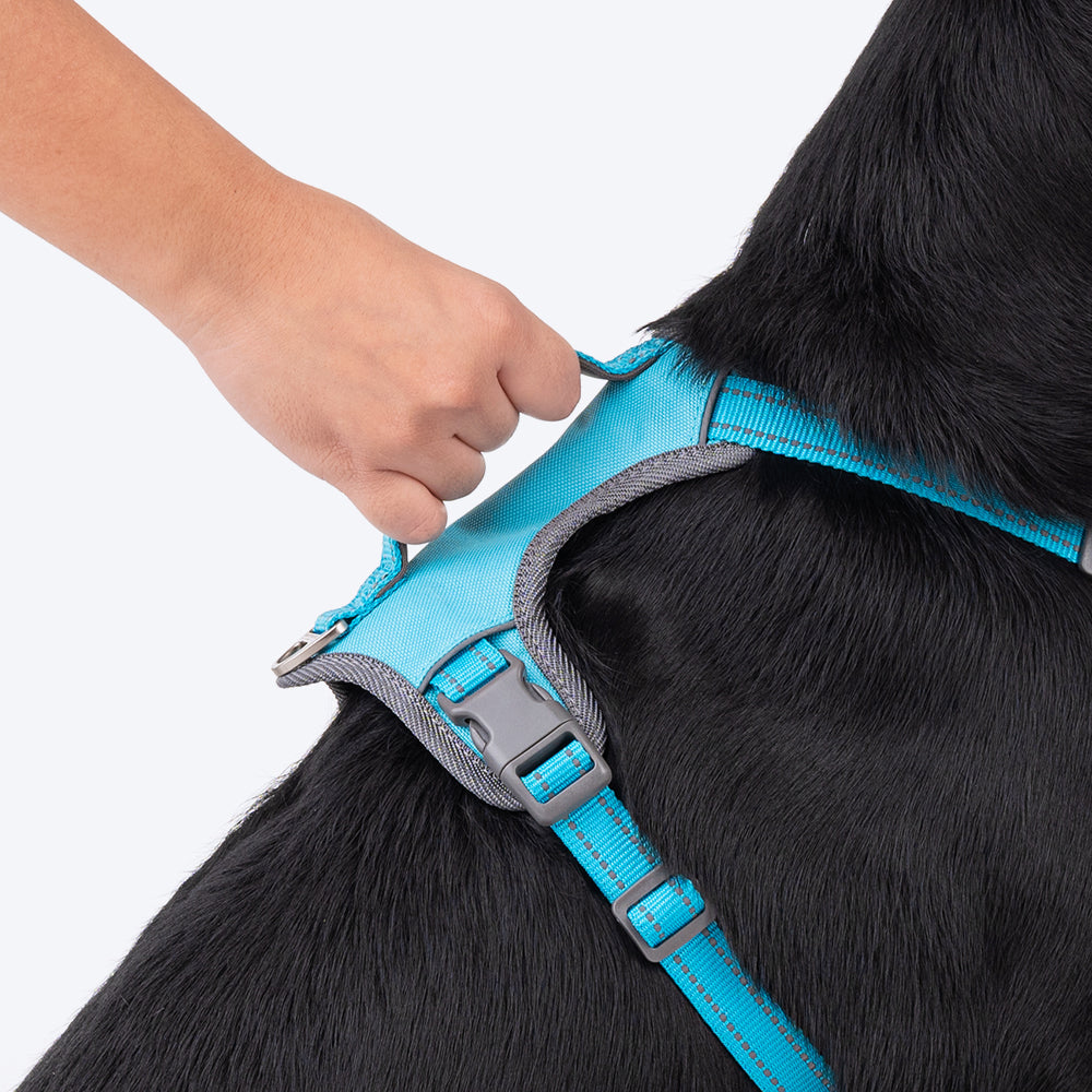 HUFT Active Pet Dog Harness - Light Blue - Heads Up For Tails