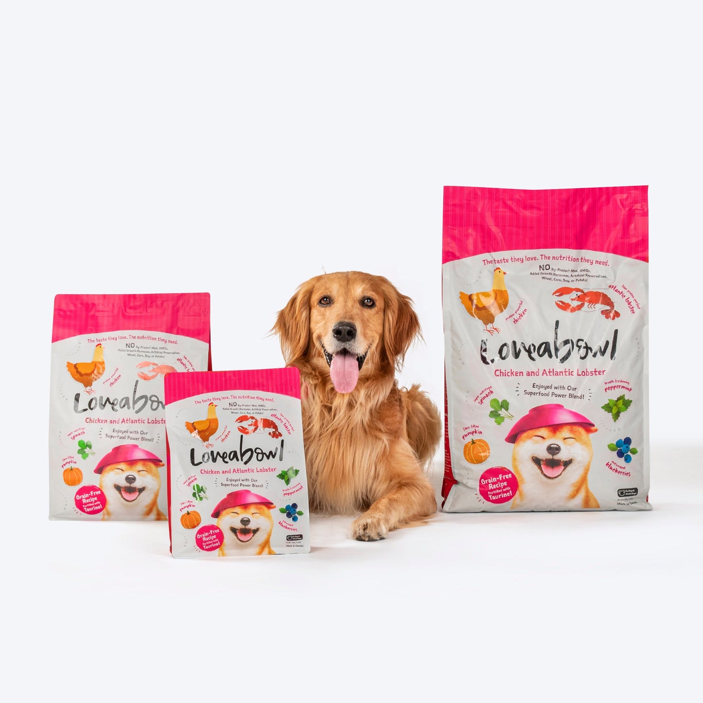 Loveabowl Grain Free Chicken With Atlantic Lobster Gut-Friendly Dog Dry Food - Heads Up For Tails