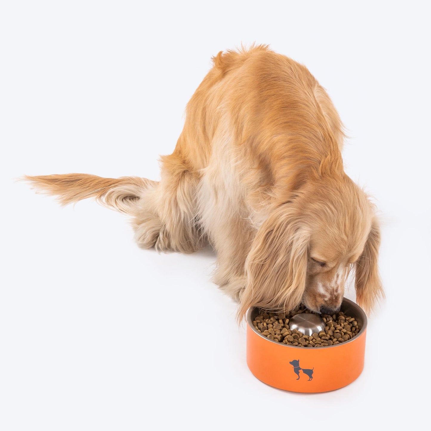 HUFT Quintessential Slow Feeder Pet Bowl - Heads Up For Tails