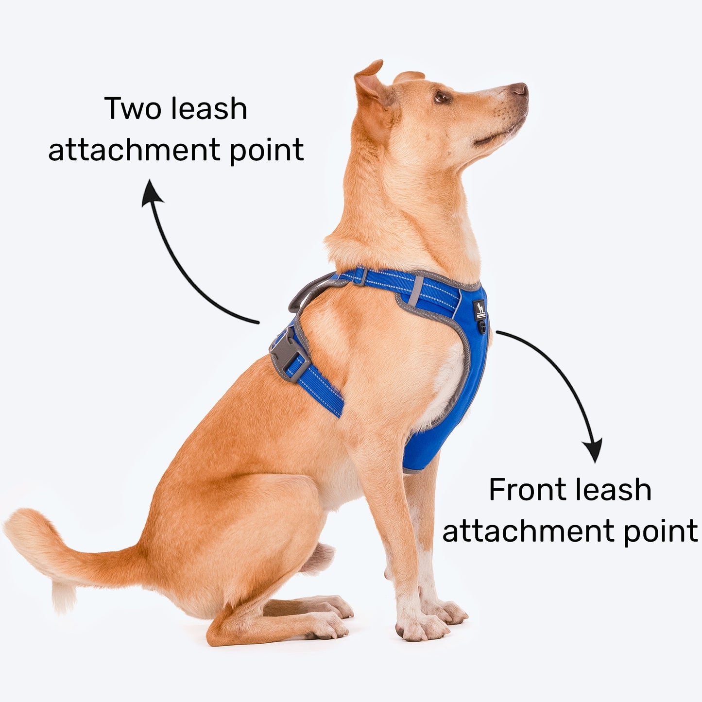 HUFT Active Pet Dog Harness - Royal Blue - Heads Up For Tails