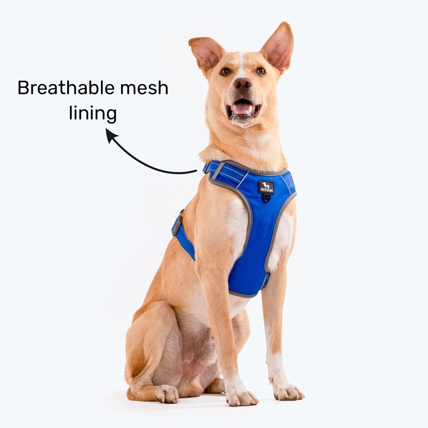 HUFT Active Pet Dog Harness - Royal Blue - Heads Up For Tails