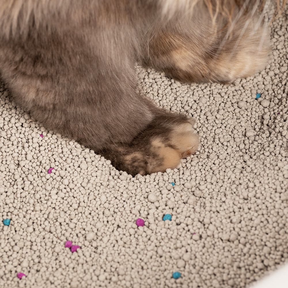 HUFT Cat Litter (Natural & Clumping) - Lavender Scented - 10 kg - Heads Up For Tails