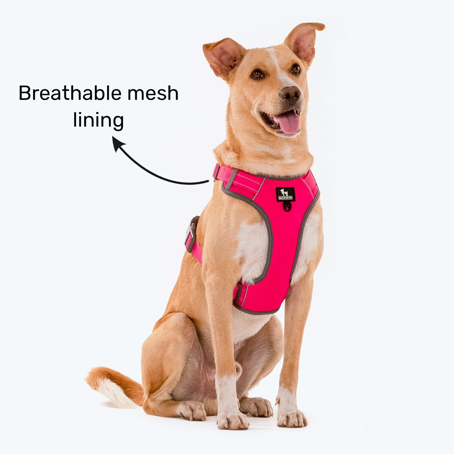 HUFT Active Pet Dog Harness - Magenta Pink - Heads Up For Tails