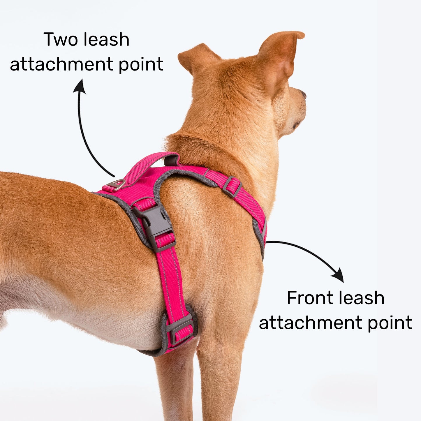 HUFT Active Pet Dog Harness - Magenta Pink - Heads Up For Tails