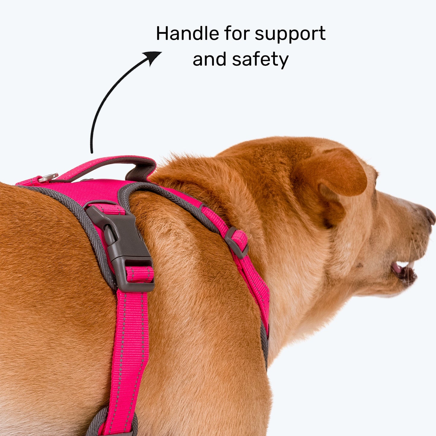 HUFT Active Pet Dog Harness - Magenta Pink - Heads Up For Tails