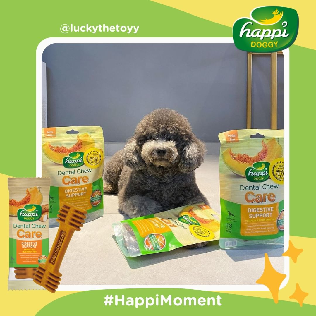 Happi Doggy Vegetarian Dental Chew - Care (Digestive Support) - Pumpkin & Mountain Yam - 4 inch 150 g - 6 Pieces-10