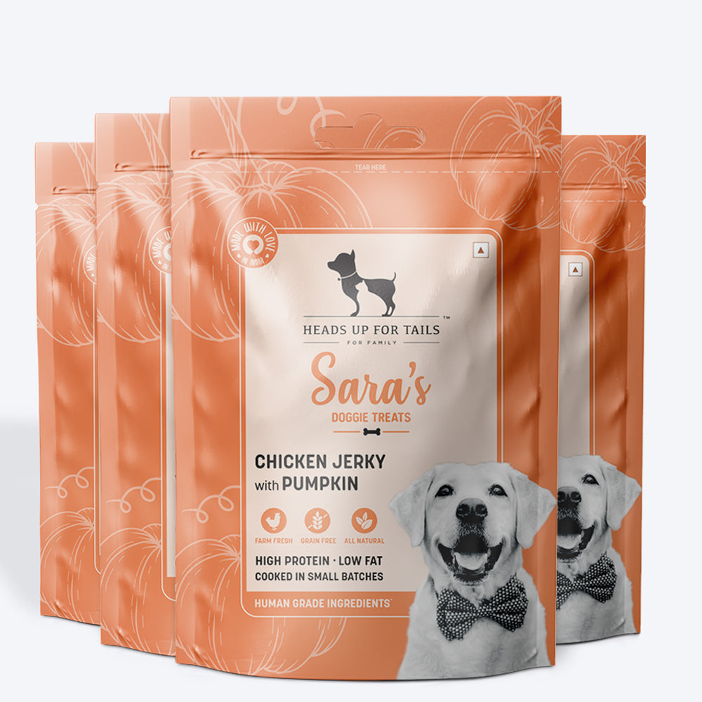 HUFT Sara's Doggie Treats - Chicken Jerky with Pumpkin - 70 g