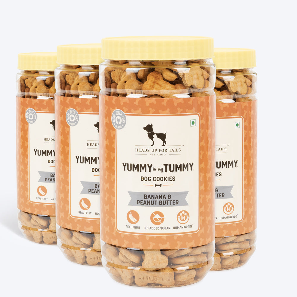 HUFT YIMT Banana & Peanut Butter Dog Biscuits