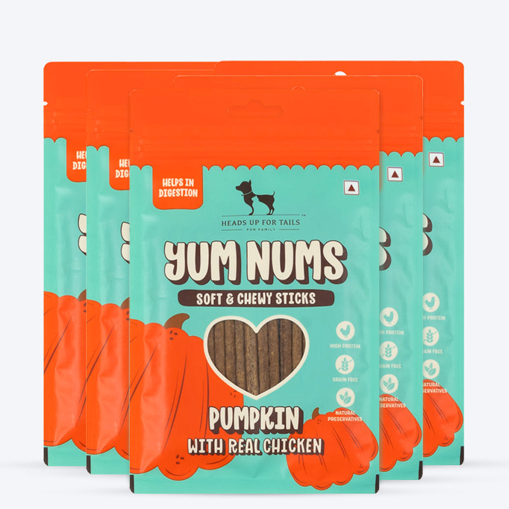 HUFT Yum Nums Soft & Chewy Sticks Pumpkin with Real Chicken Treat For Dogs - 75g - Heads Up For Tails