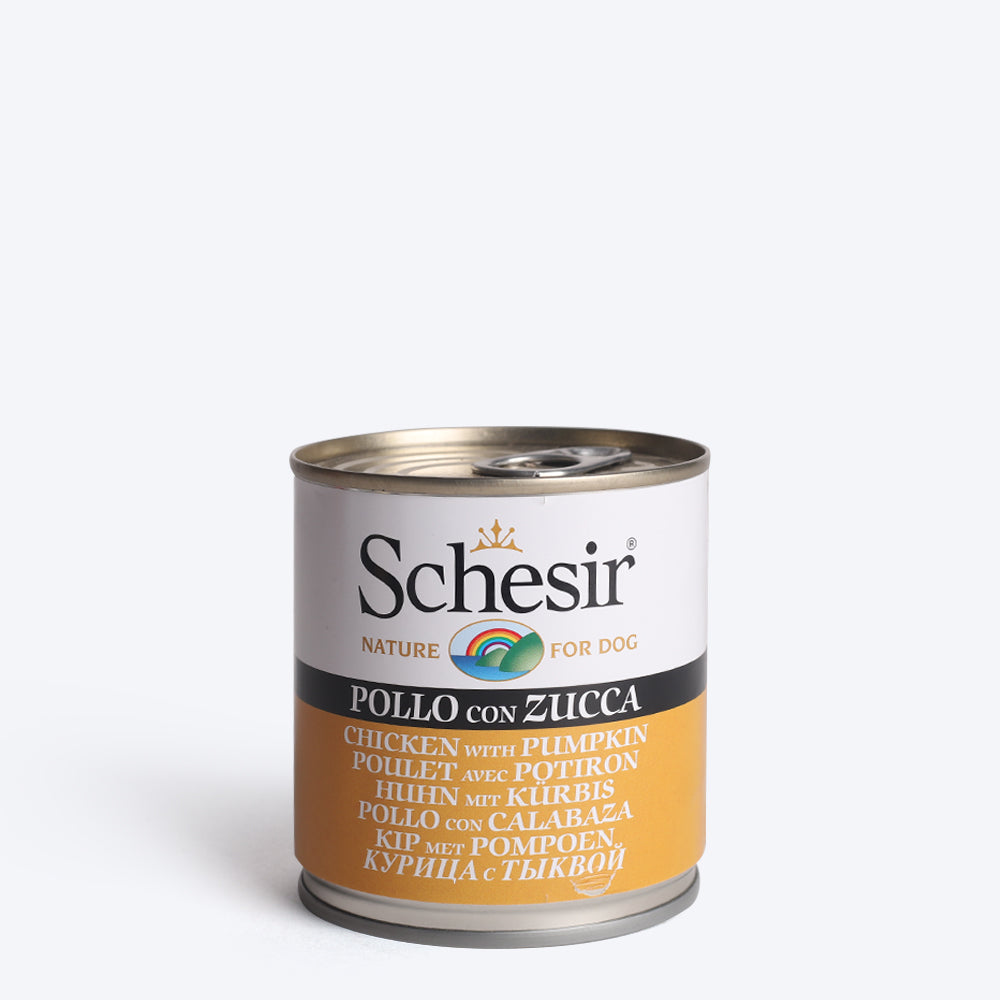 Schesir 46% Chicken with Pumpkin Gravy Wet Dog Food - 285 g - Heads Up For Tails
