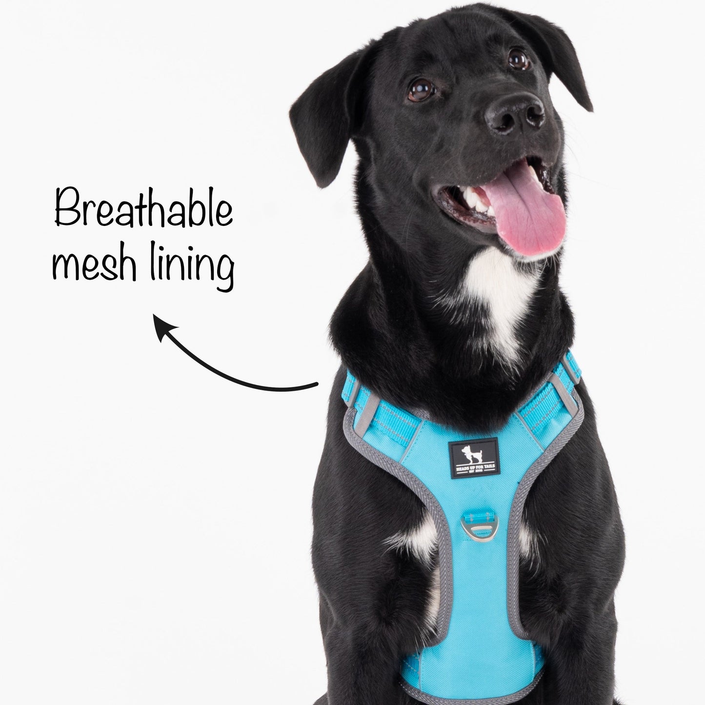 HUFT Active Pet Dog Harness - Light Blue - Heads Up For Tails