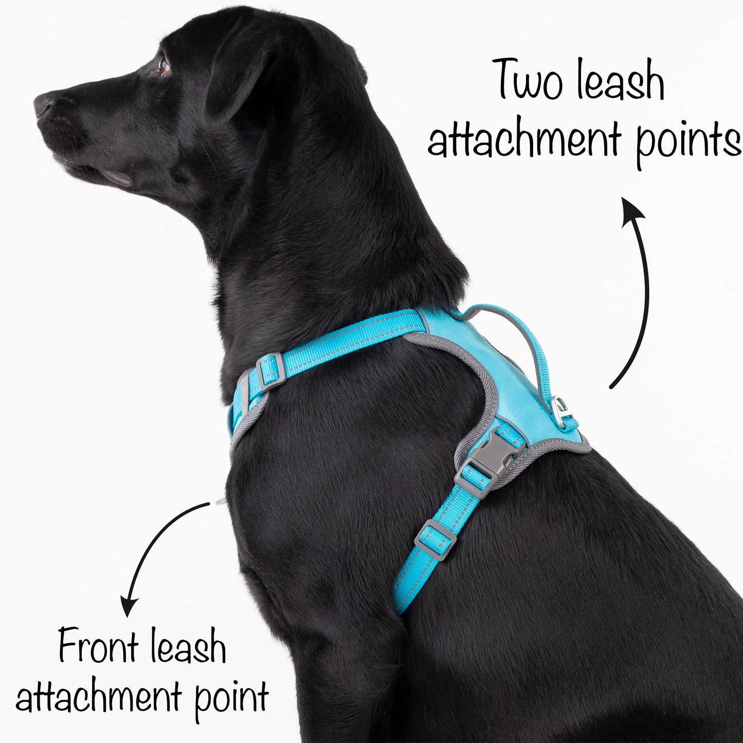 HUFT Active Pet Dog Harness - Light Blue - Heads Up For Tails