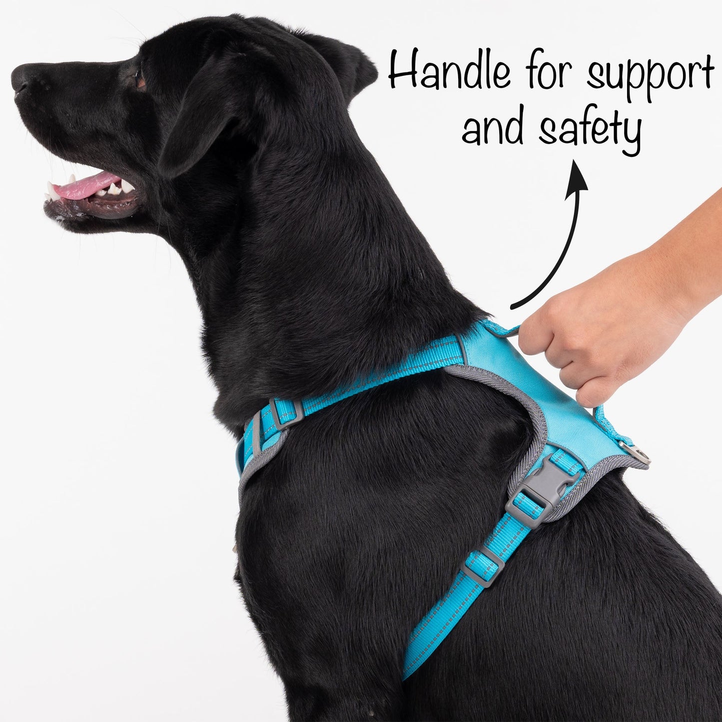HUFT Active Pet Dog Harness - Light Blue - Heads Up For Tails