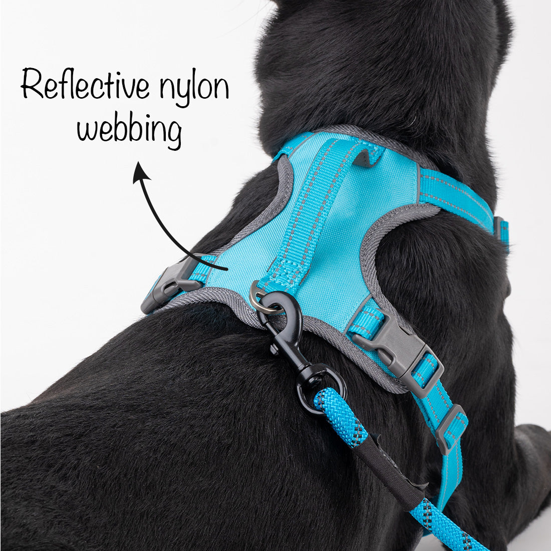 HUFT Active Pet Dog Harness - Light Blue - Heads Up For Tails