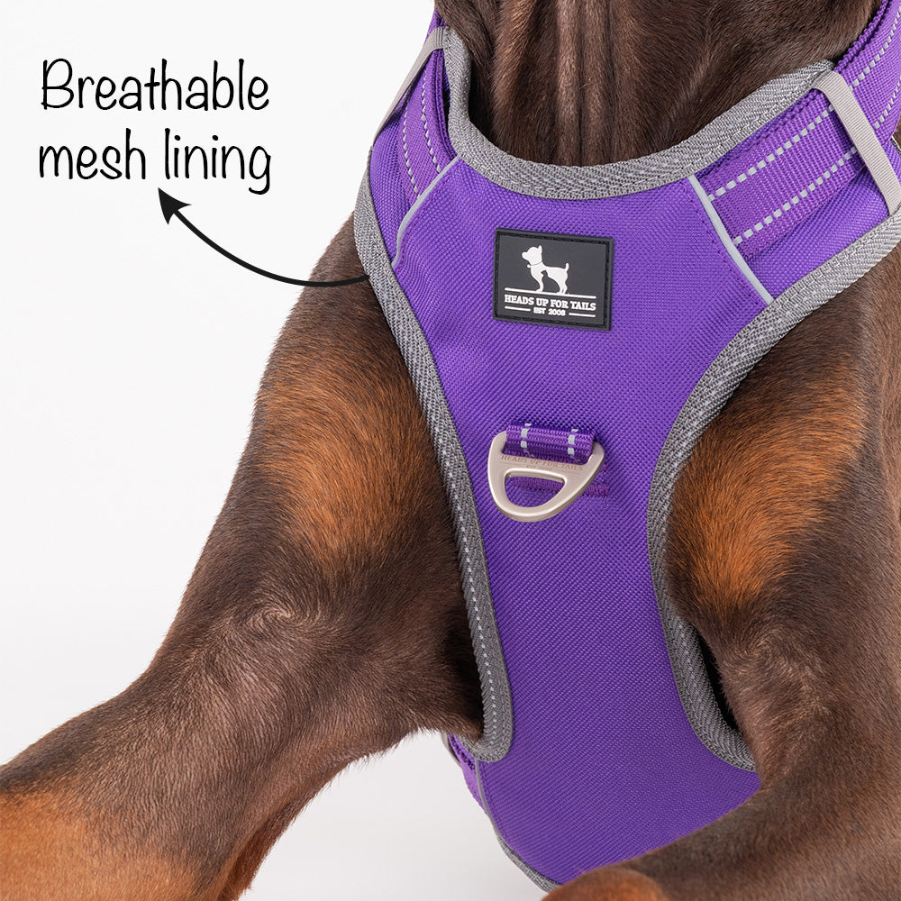 HUFT Active Pet Dog Harness - Purple - Heads Up For Tails