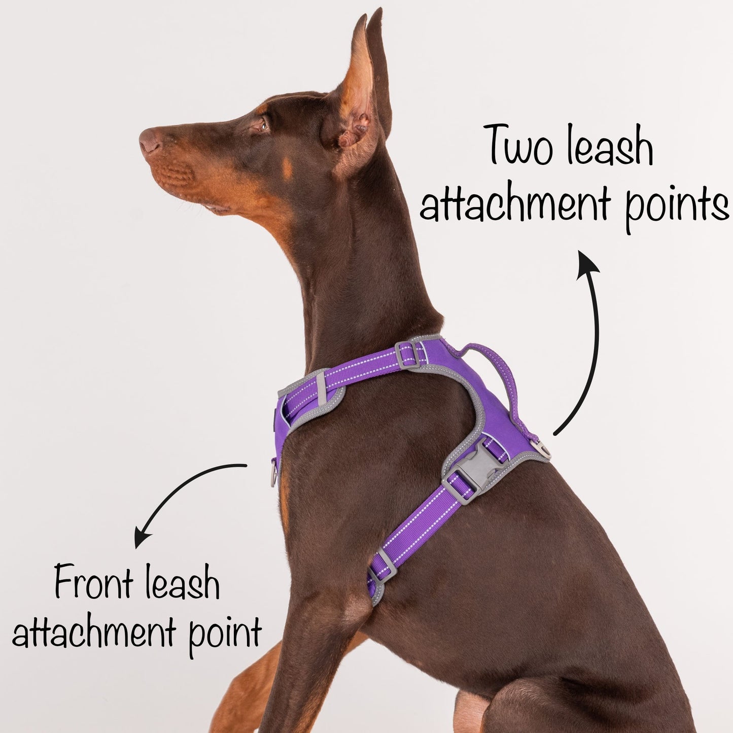 HUFT Active Pet Dog Harness - Purple - Heads Up For Tails
