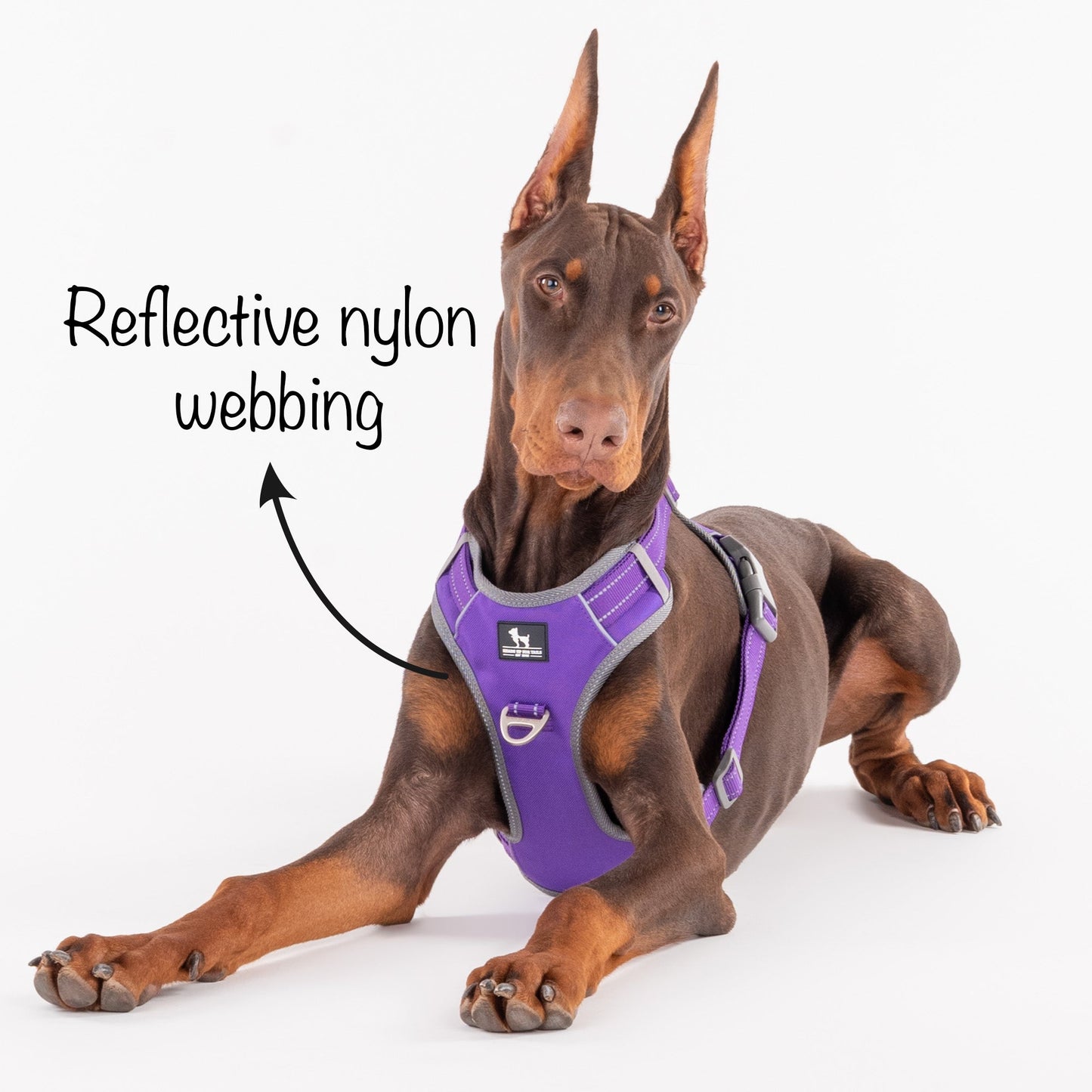HUFT Active Pet Dog Harness - Purple - Heads Up For Tails