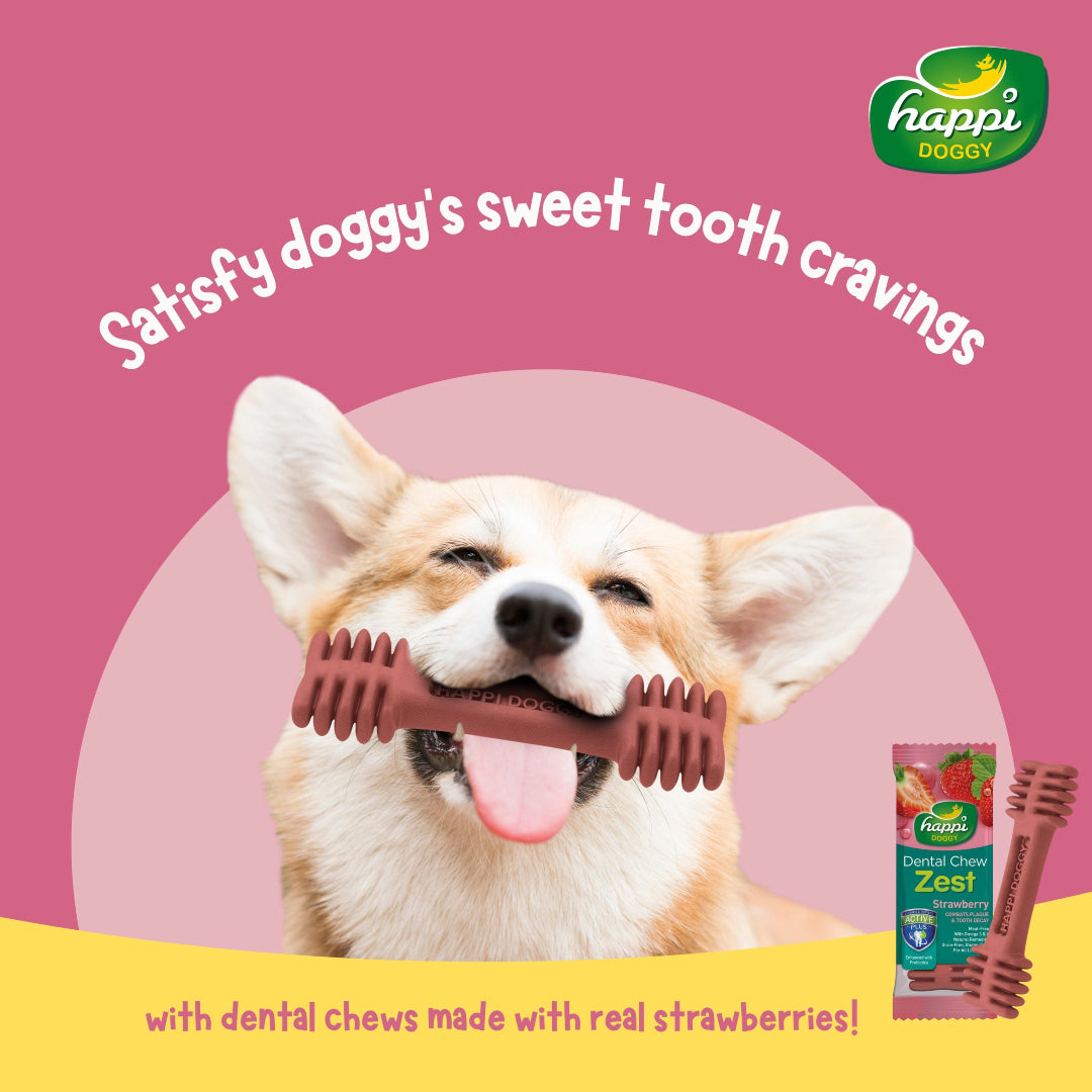 Happi Doggy Vegetarian Dental Chew - Zest - Apple (Singles) - 25 g-5