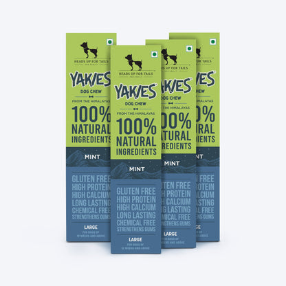 HUFT Yakies Vegetarian Natural Chew Bone - Mint - Heads Up For Tails