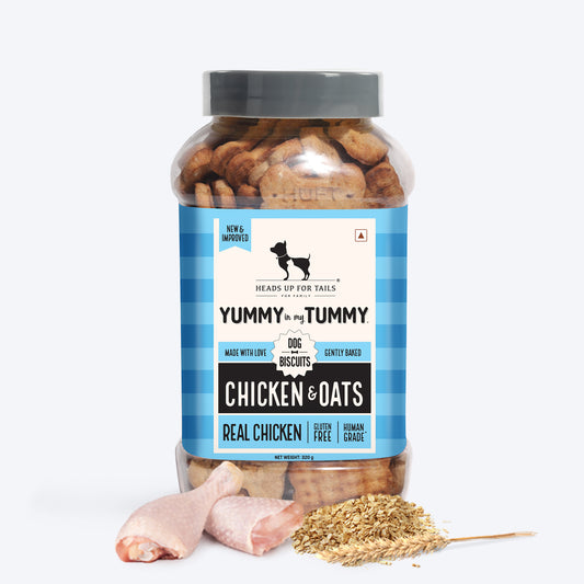 HUFT Yummy In My Tummy Chicken & Oats Gluten-Free Biscuits