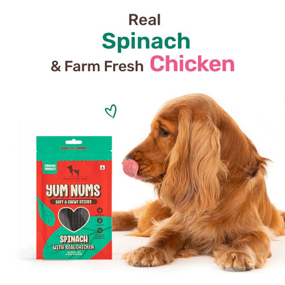 HUFT Yum Nums Dog Treats Soft & Chewy Sticks Spinach With Real Chicken - 70 gm
