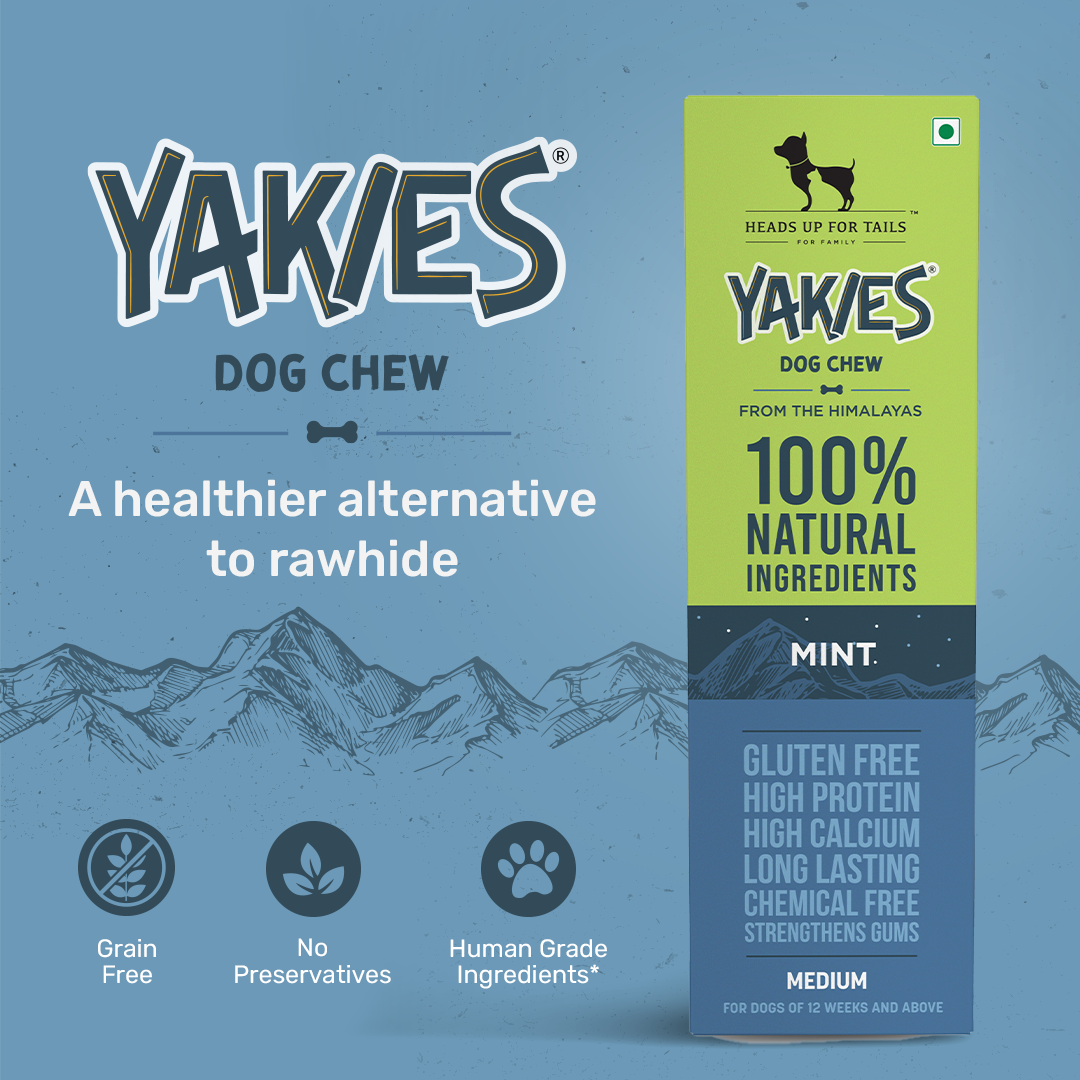 HUFT Yakies Vegetarian Natural Chew Bone - Mint - Heads Up For Tails