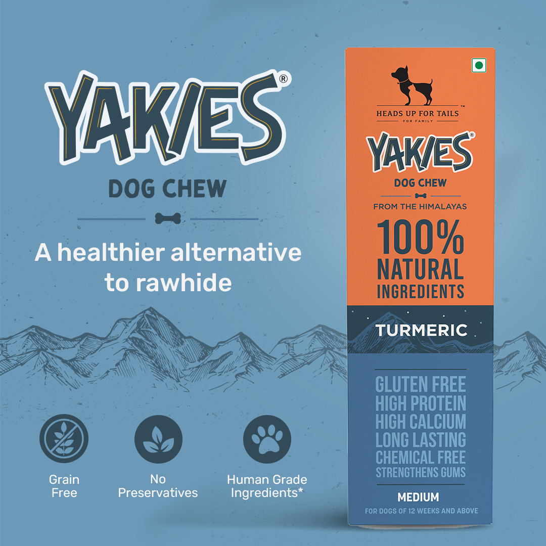 HUFT Yakies Vegetarian Natural Chew Bone - Turmeric - Heads Up For Tails