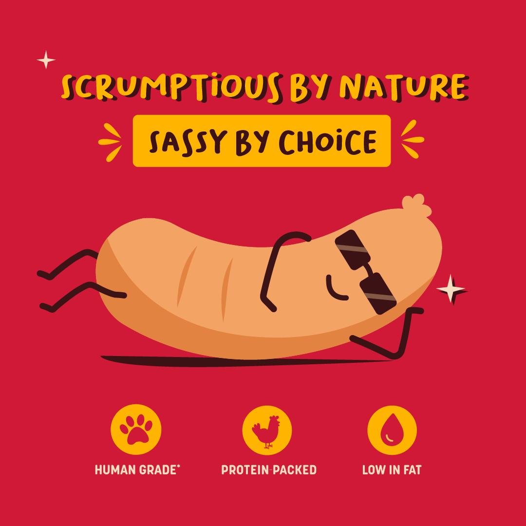 HUFT Sassy Sausage Bacon With Real Chicken Air-Dried Dog Treats - 100 g_03