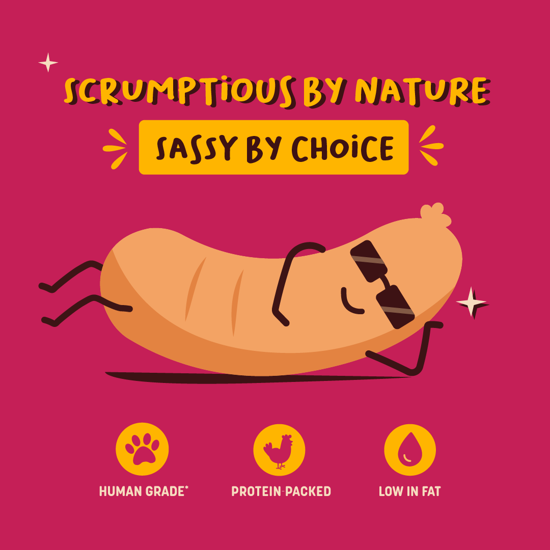 HUFT Sassy Sausage BBQ With Real Chicken Air-Dried Dog Treats - 100 g_03