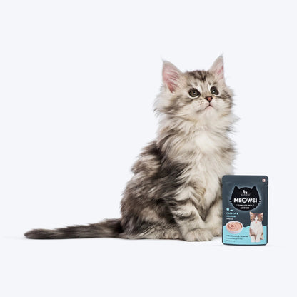 Meowsi Chicken & Salmon Mousse Wet Food for Kittens 70g