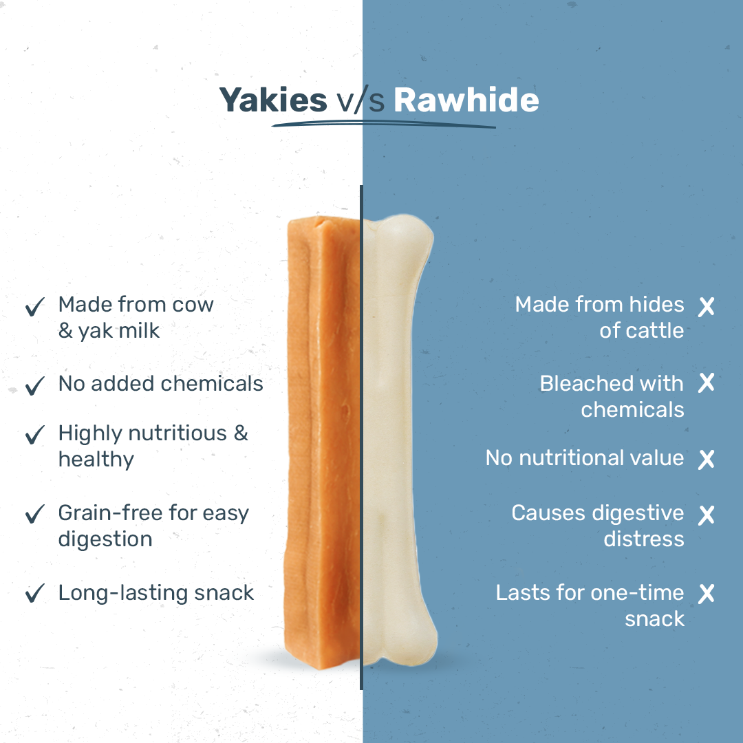 HUFT Yakies Vegetarian Natural Chew Bone - Turmeric - Heads Up For Tails