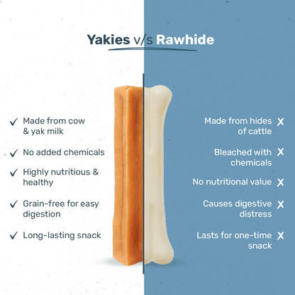 HUFT Yakies Vegetarian Natural Chew Bone - Turmeric - Heads Up For Tails